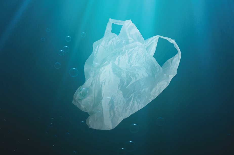 CICLAT_Ambiente2021_cover_mare